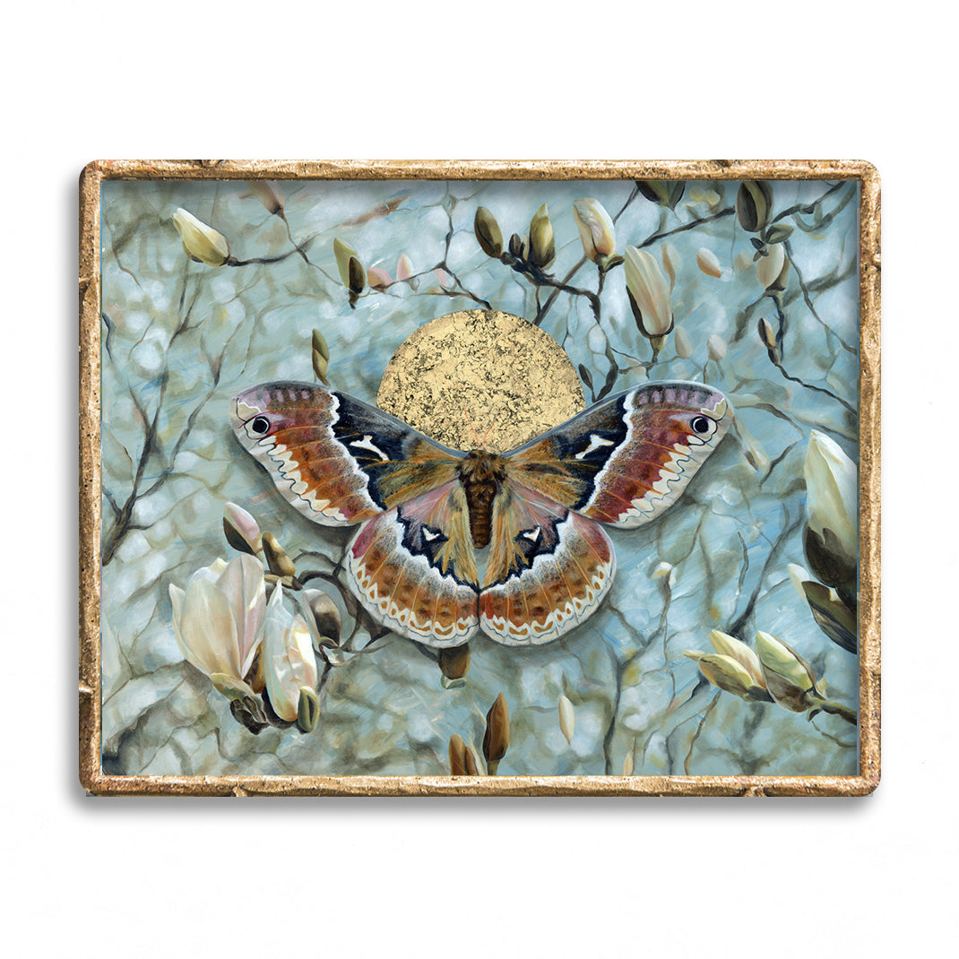 Tuliptree moth magnolia art print with blue sky