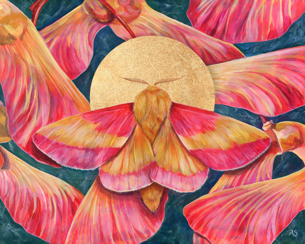 Rosy the Faerie Rosy Maple Moth – Jackie Harder Art