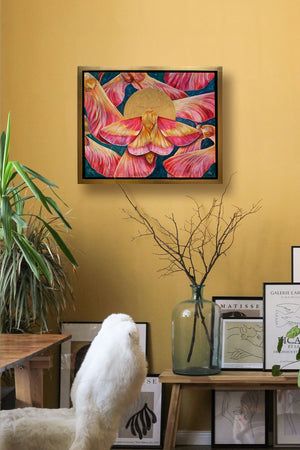 rosy maple moth painting on yellow wall