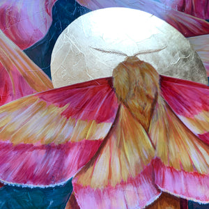 rosy maple moth painting gold leaf halo detail