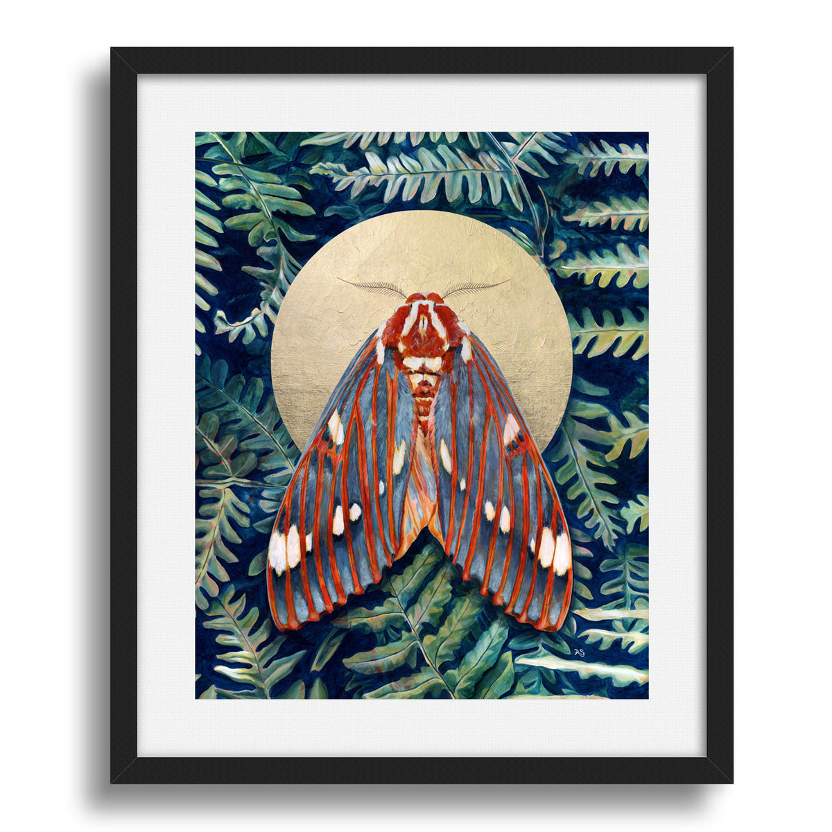 royal walnut moth art print framed and matted