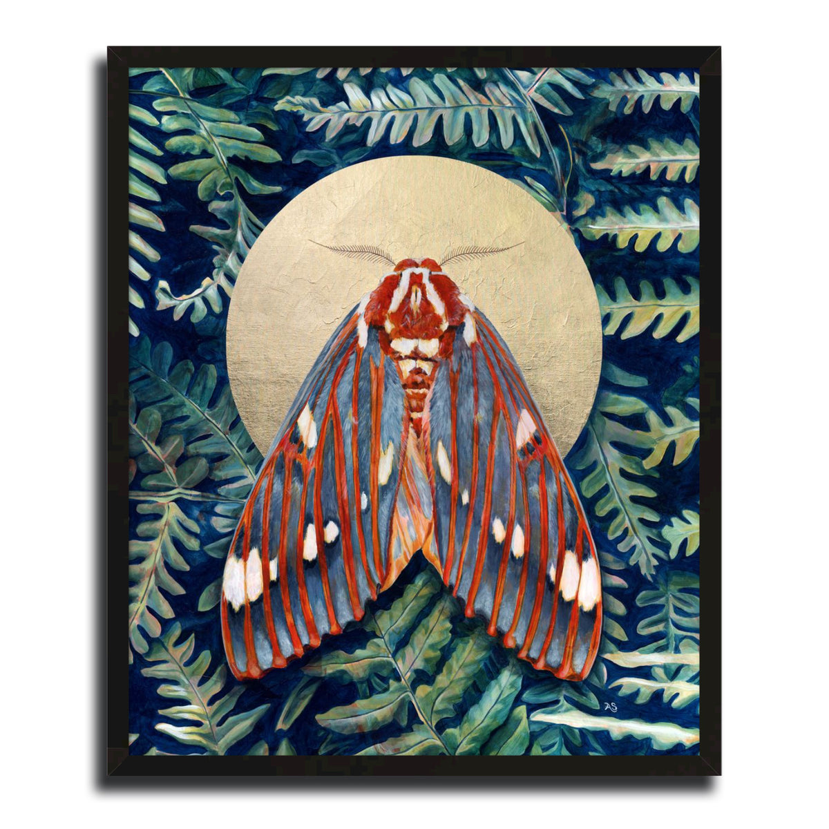 &quot;Evanescent&quot; Royal Walnut Moth Art Print