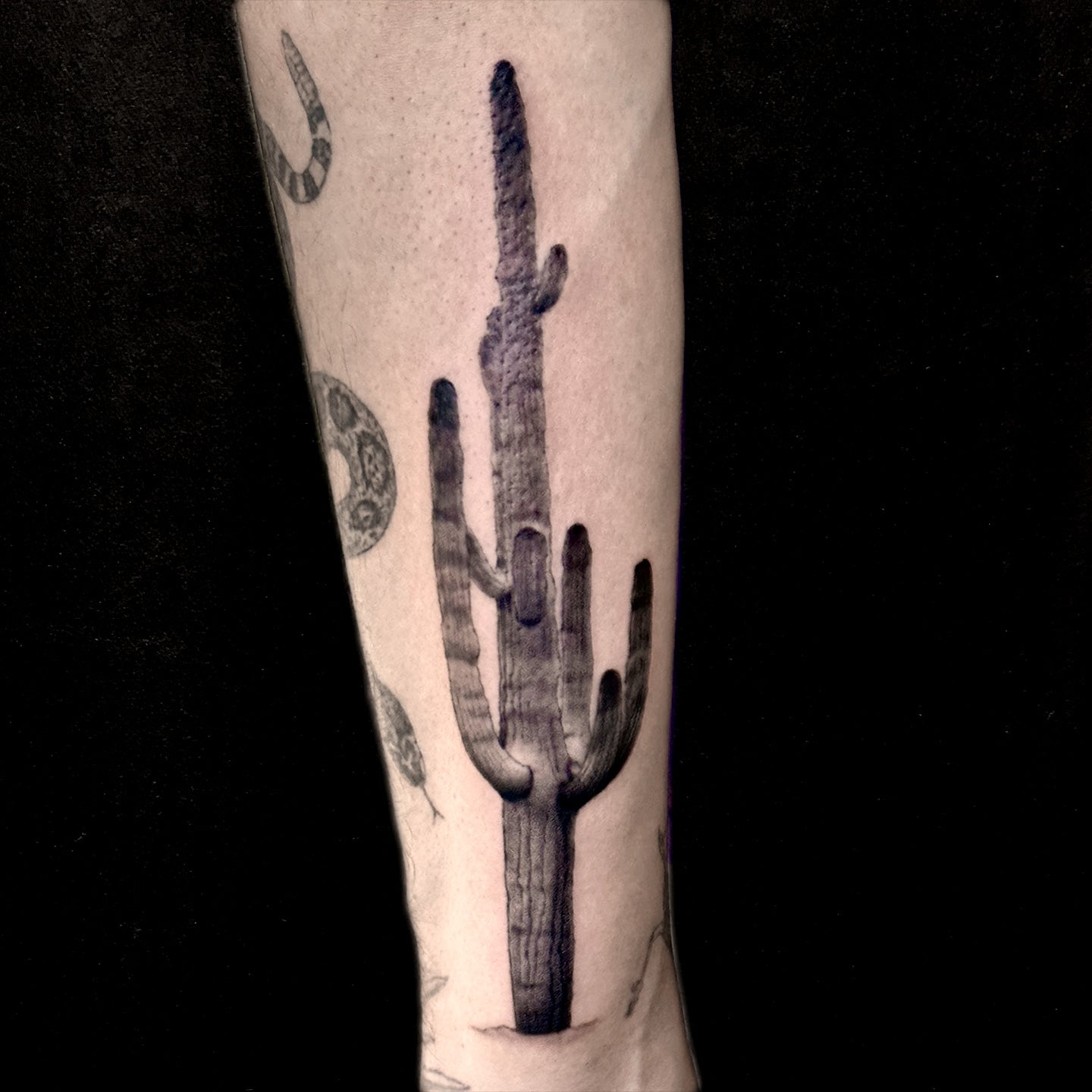 realistic saguaro cactus tattoo by Danny Schreiber