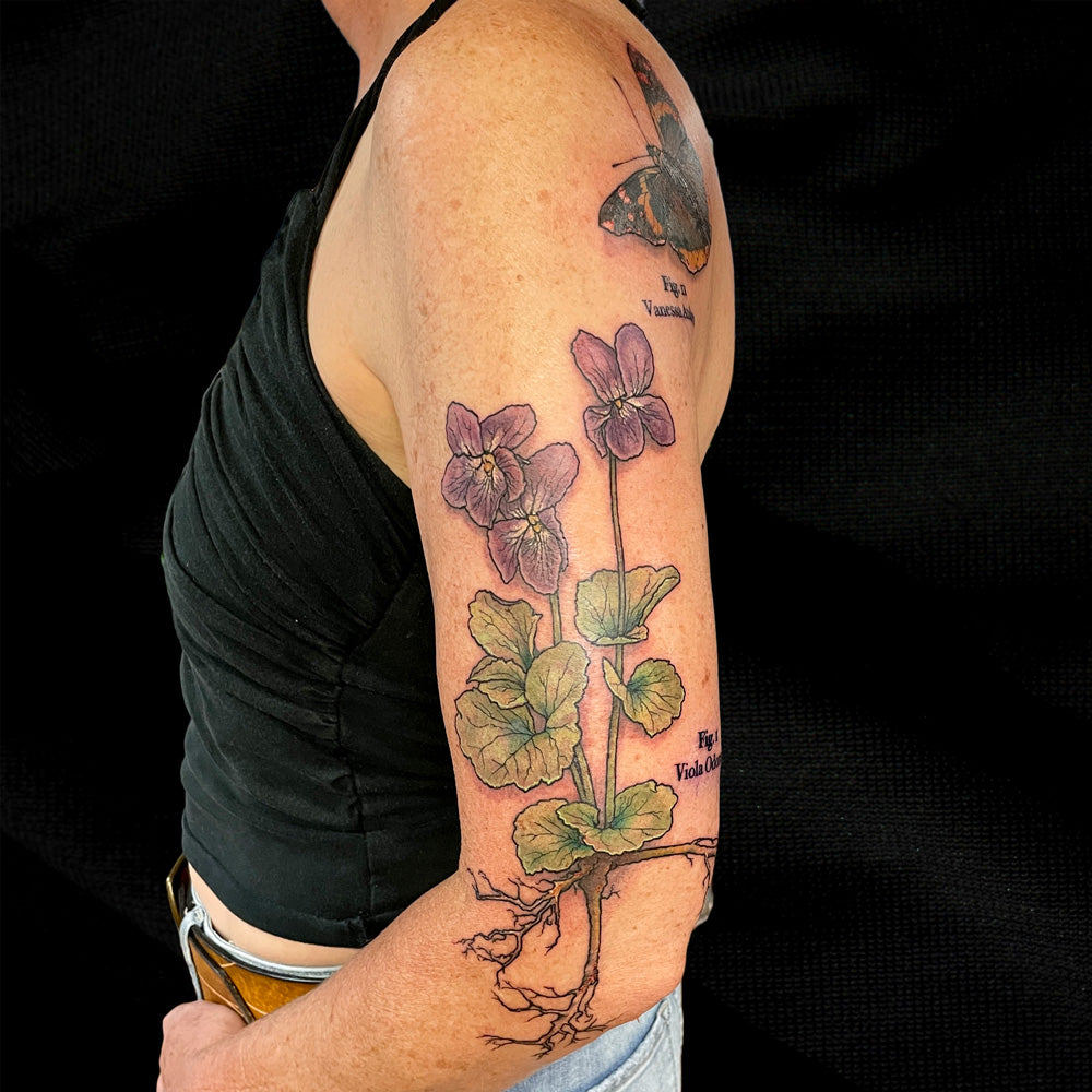 scientific illustration viola flower tattoo by Cass Brown