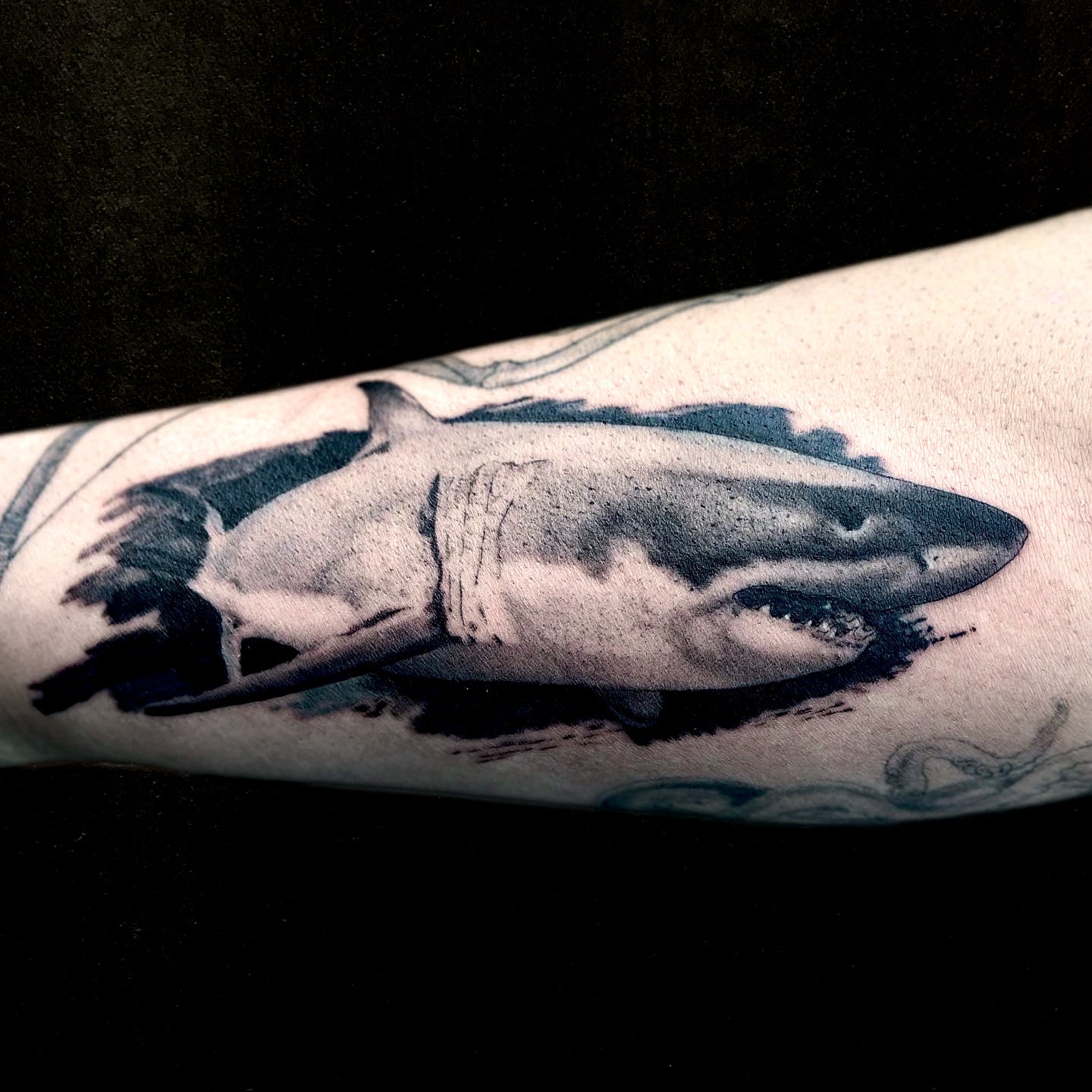 realistic shark tattoo by Danny Schreiber