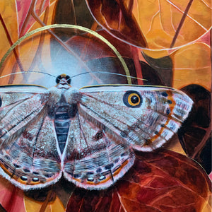 'Shimmer' white argyrotome moth painting with autumn leaves detail