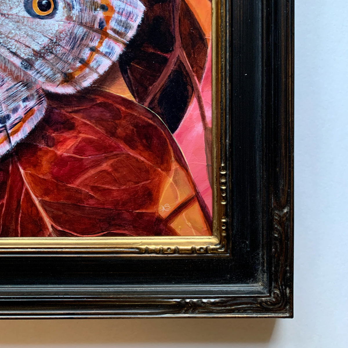 &#39;Shimmer&#39; white argyrotome moth painting black frame detail