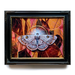 'Shimmer' white argyrotome moth painting with autumn leaves