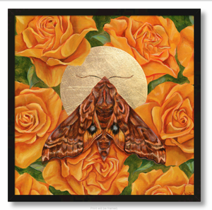 "Shine" Small-Eyed Sphinx Moth Art Print