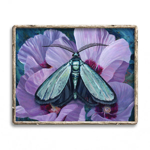 "Tranquility" Satin Forester Moth Art Print