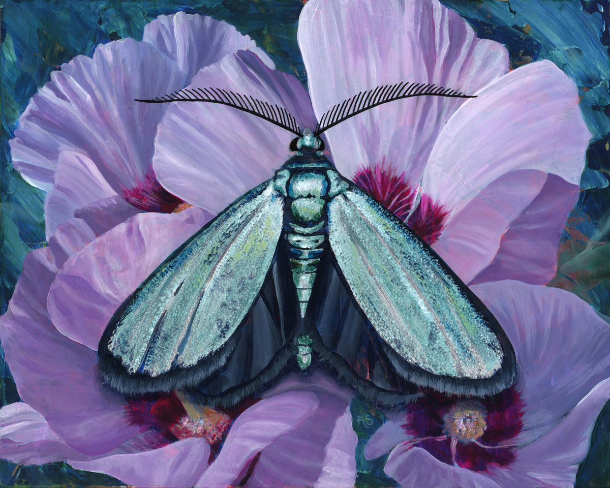 "Tranquility" Satin Forester Moth Art Print