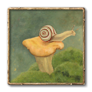snail mushroom artwork