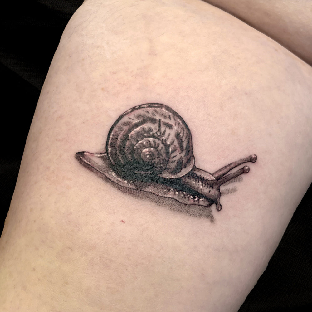 snail tattoo by Cass Brown