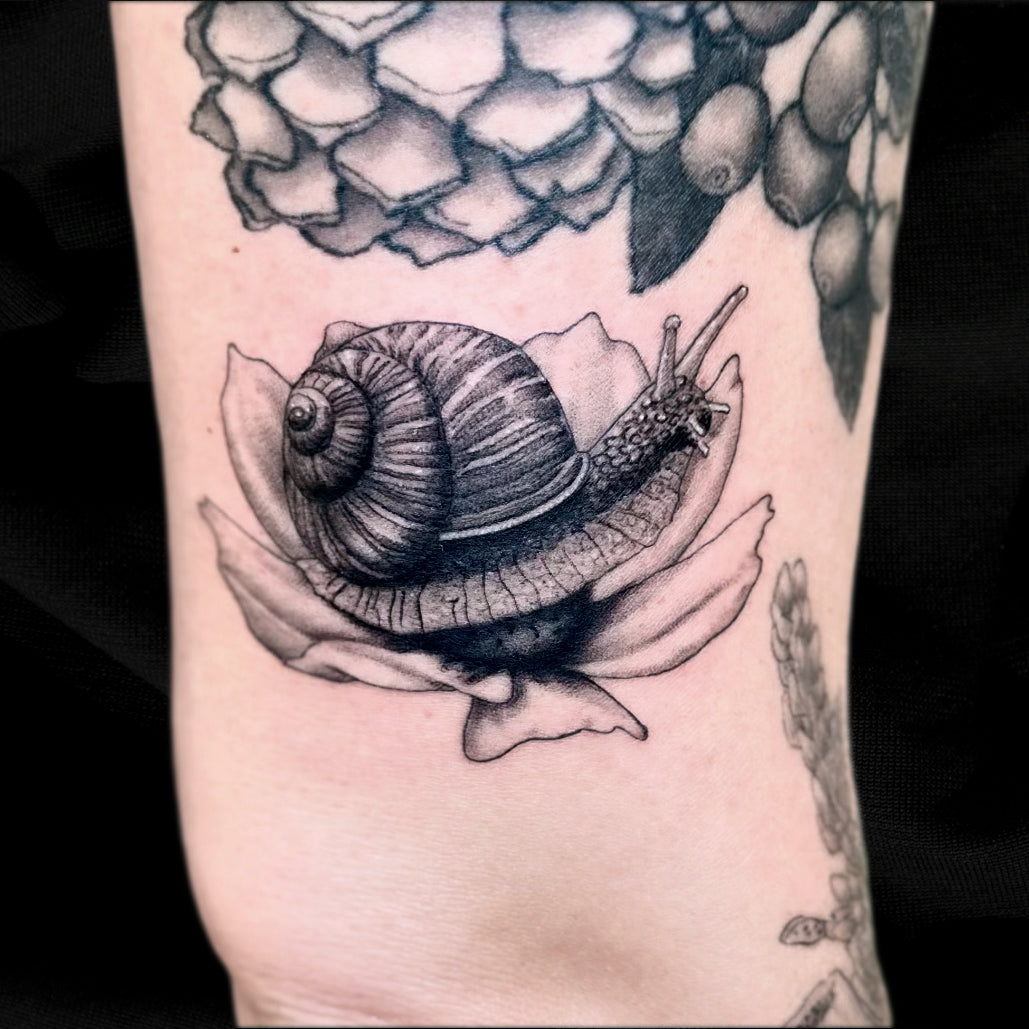 snail on flower tattoo by Danny Schreiber