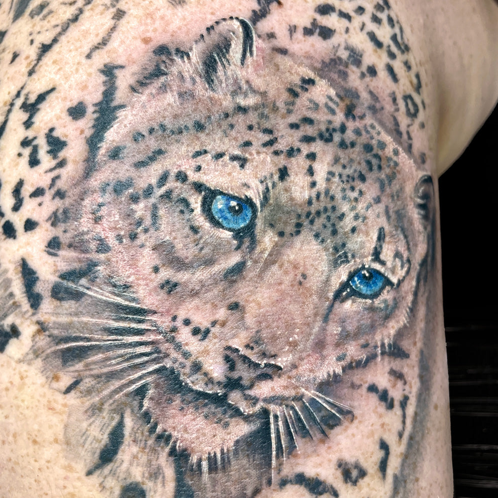 snow leopard tattoo by Cass Brown