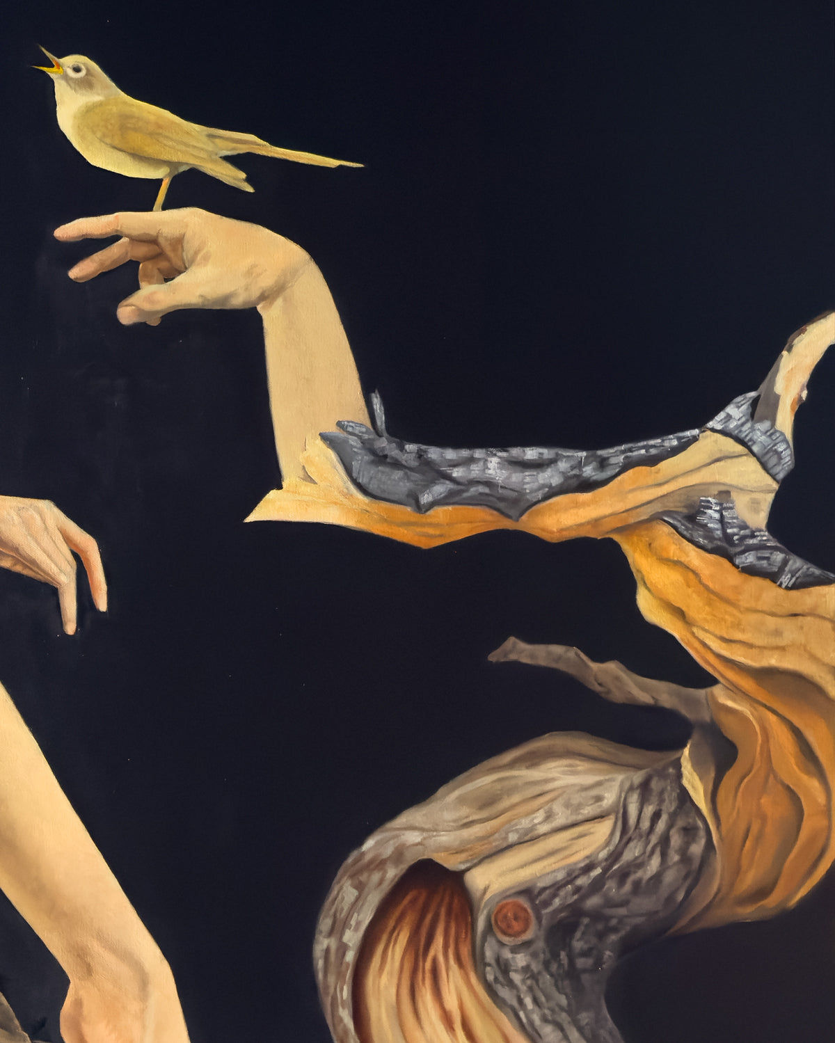 close-up surreal oil painting depiction of hands and a bird interacting with a tree branch against a dark background