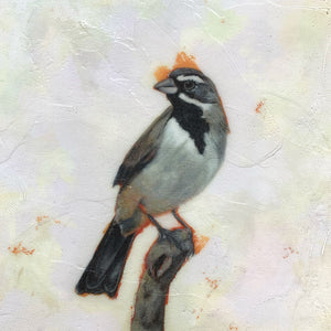 black throated sparrow embellished canvas art print texture detail