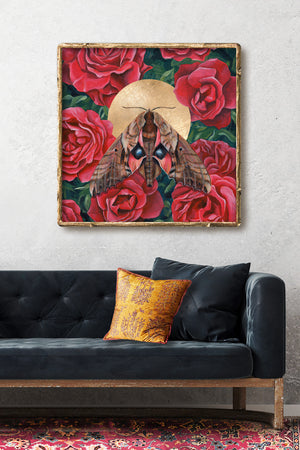 sphinx moth red rose art print on wall