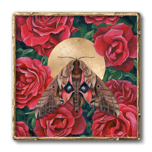 sphinx moth rose art print gold frame