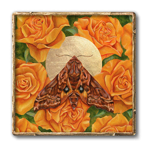small-eyed sphinx moth yellow rose art print in gold frame