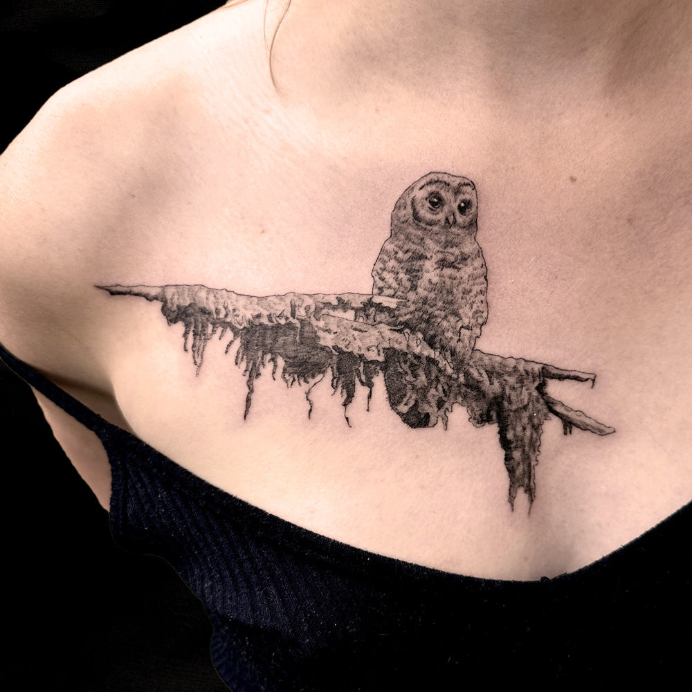 spotted owl tattoo by Danny