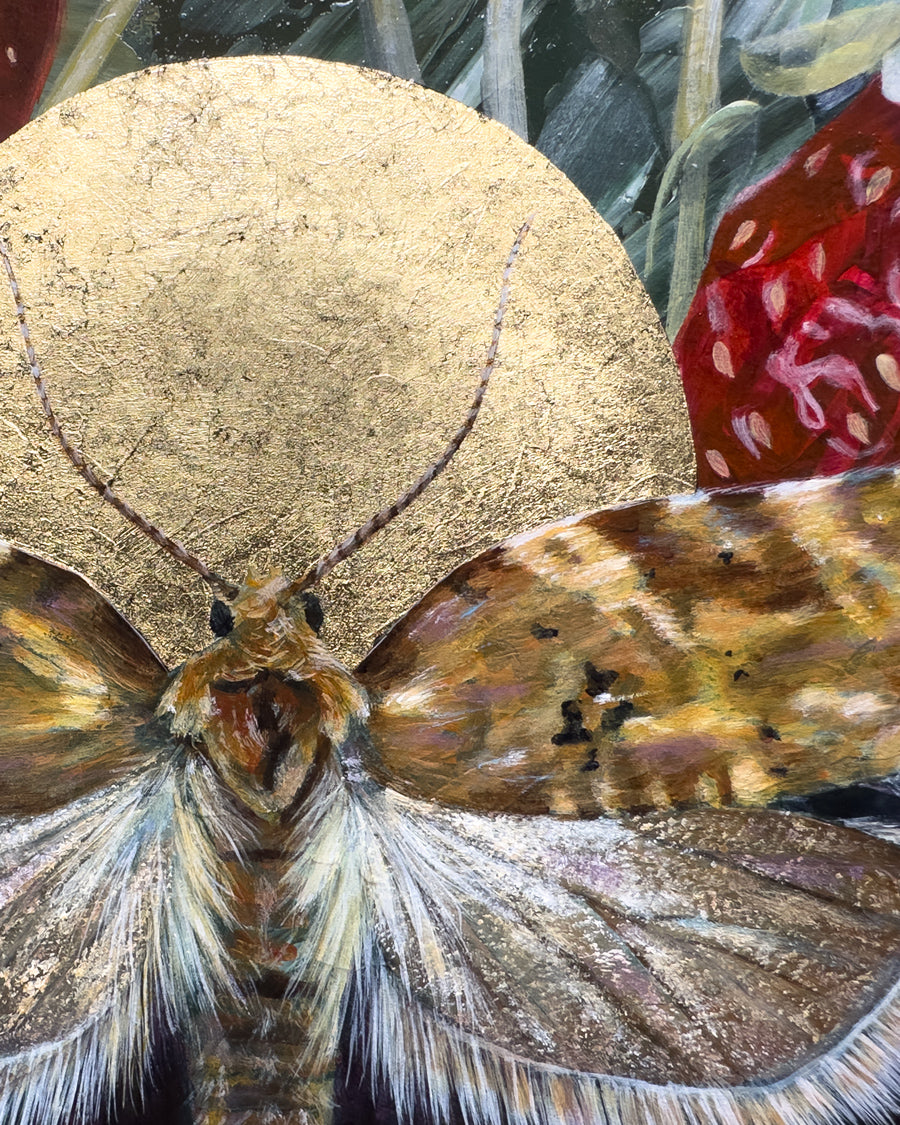 "Allow" Strawberry Tortrix Moth Painting