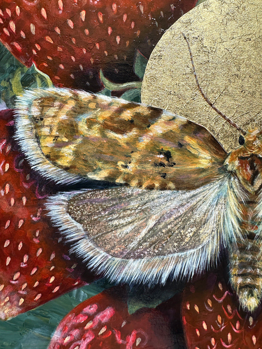 "Allow" Strawberry Tortrix Moth Painting