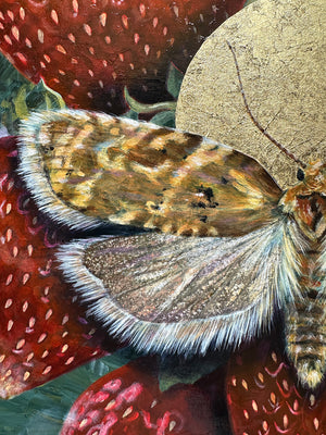 "Allow" Strawberry Tortrix Moth Painting