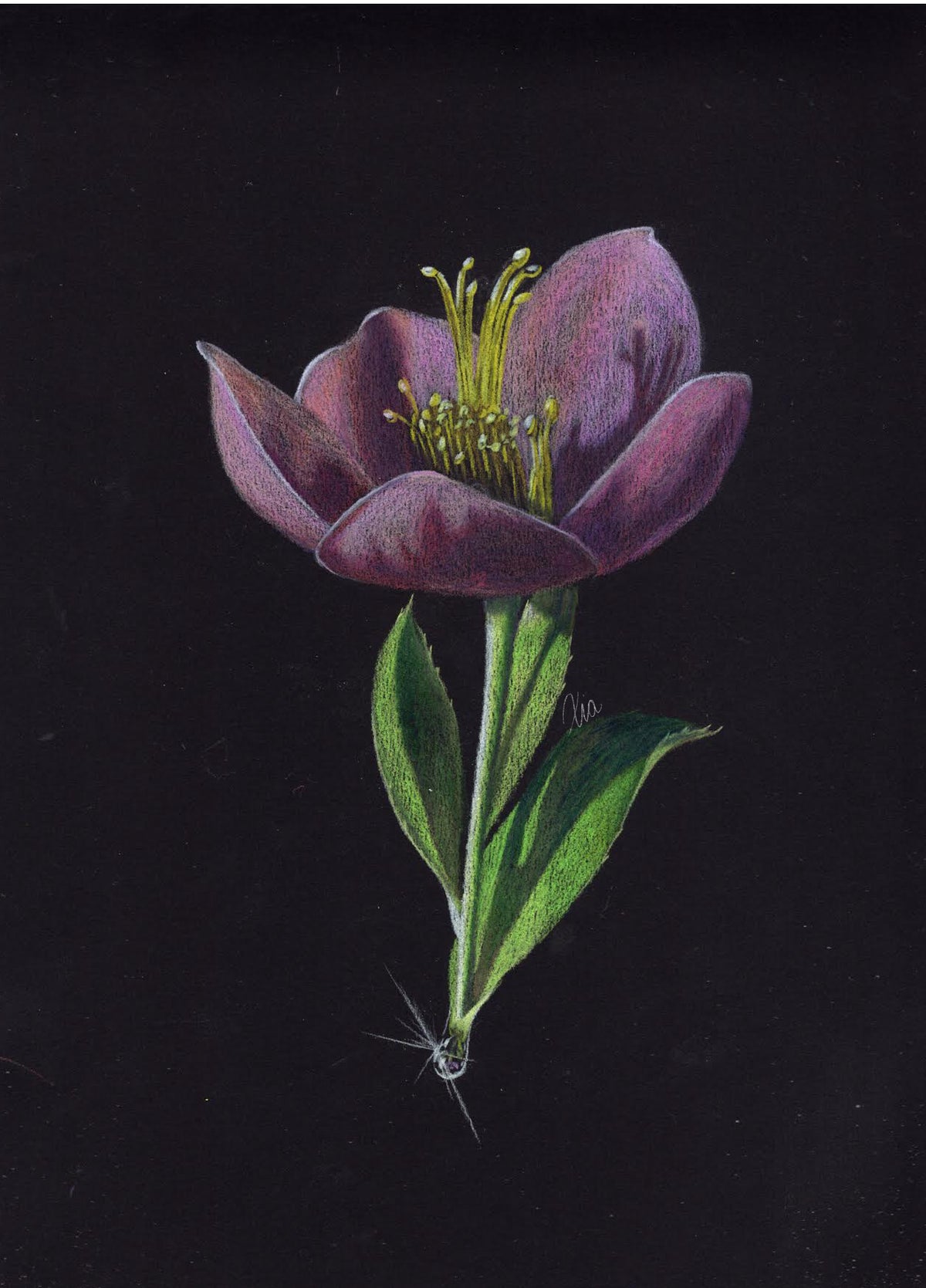 "Sun Drop Blossom" by Zia Abraham