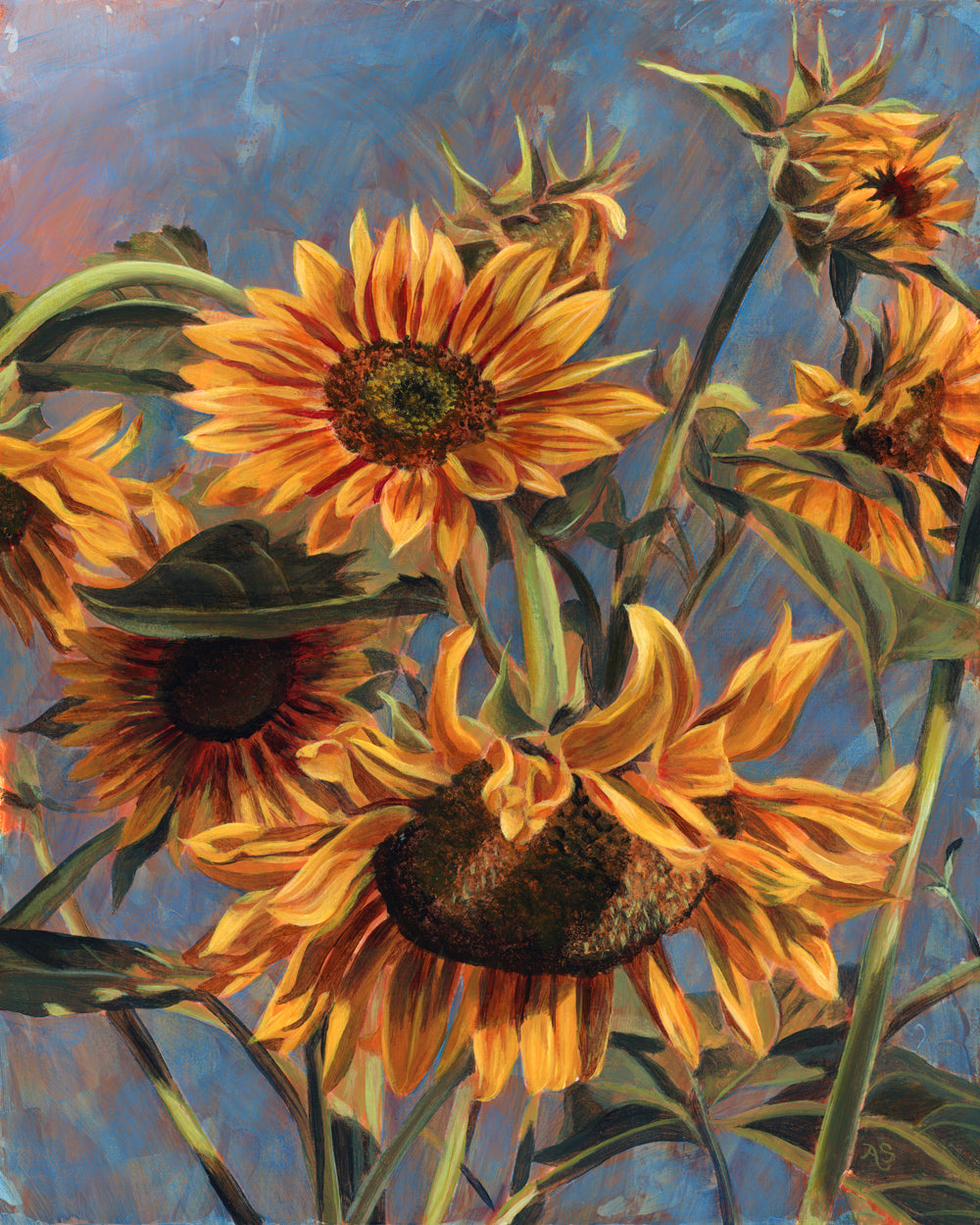 sunflower art print for sale Aimee Schreiber