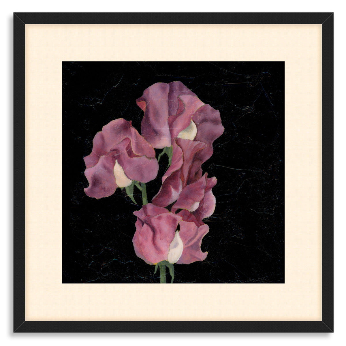 sweet pea floral art print