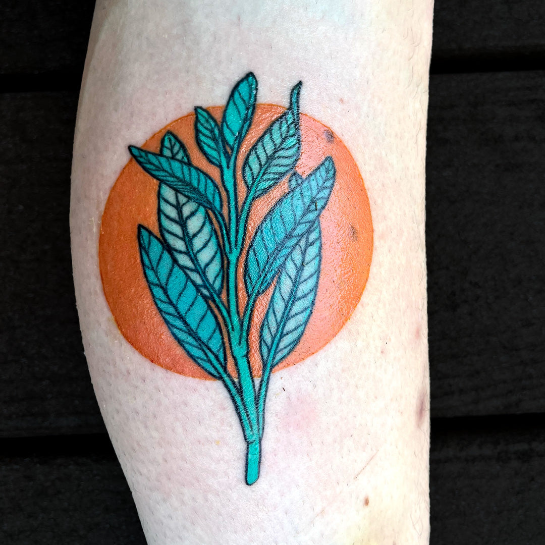 teal orange plant tattoo by Juniper Jack