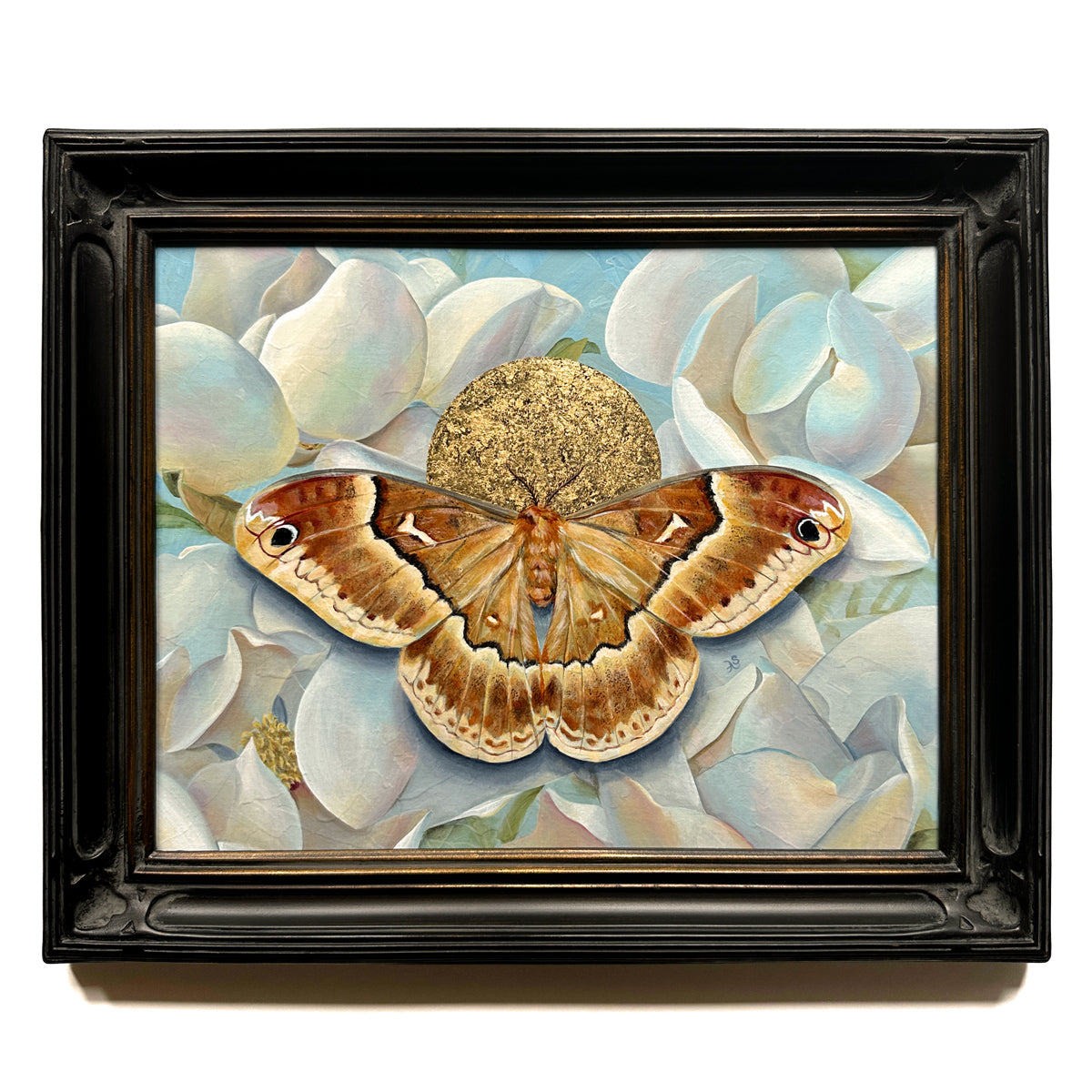 sweetbay silkmoth magnolia painting in black frame