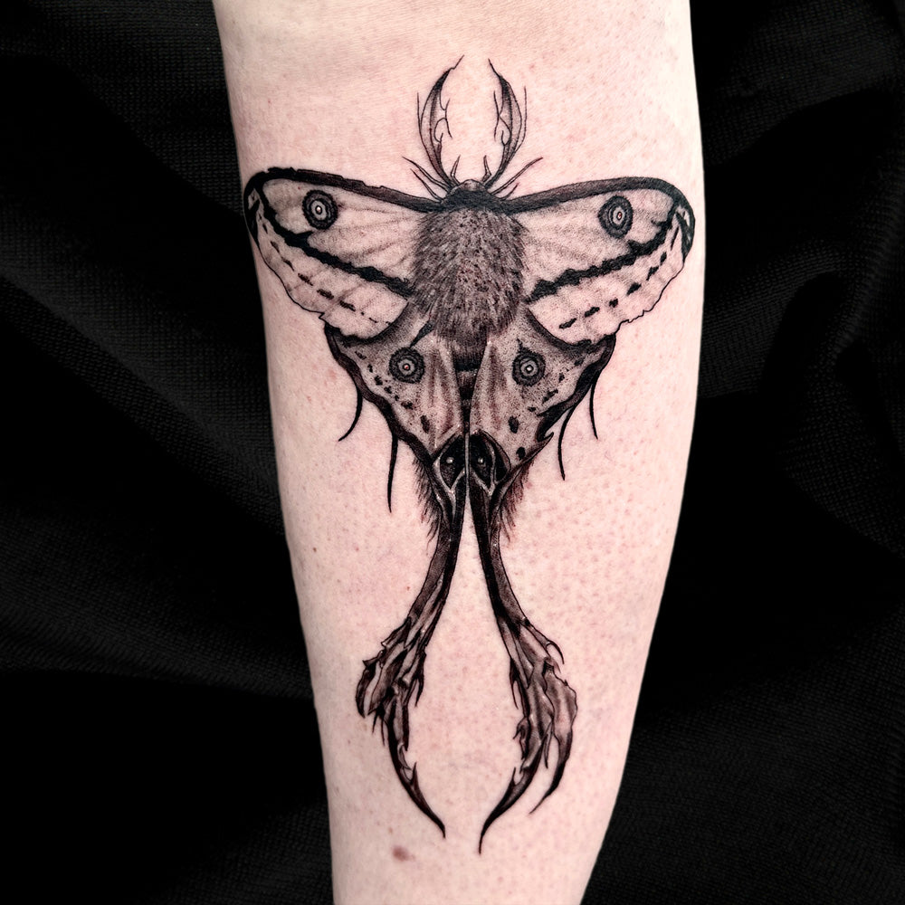 moth tattoo