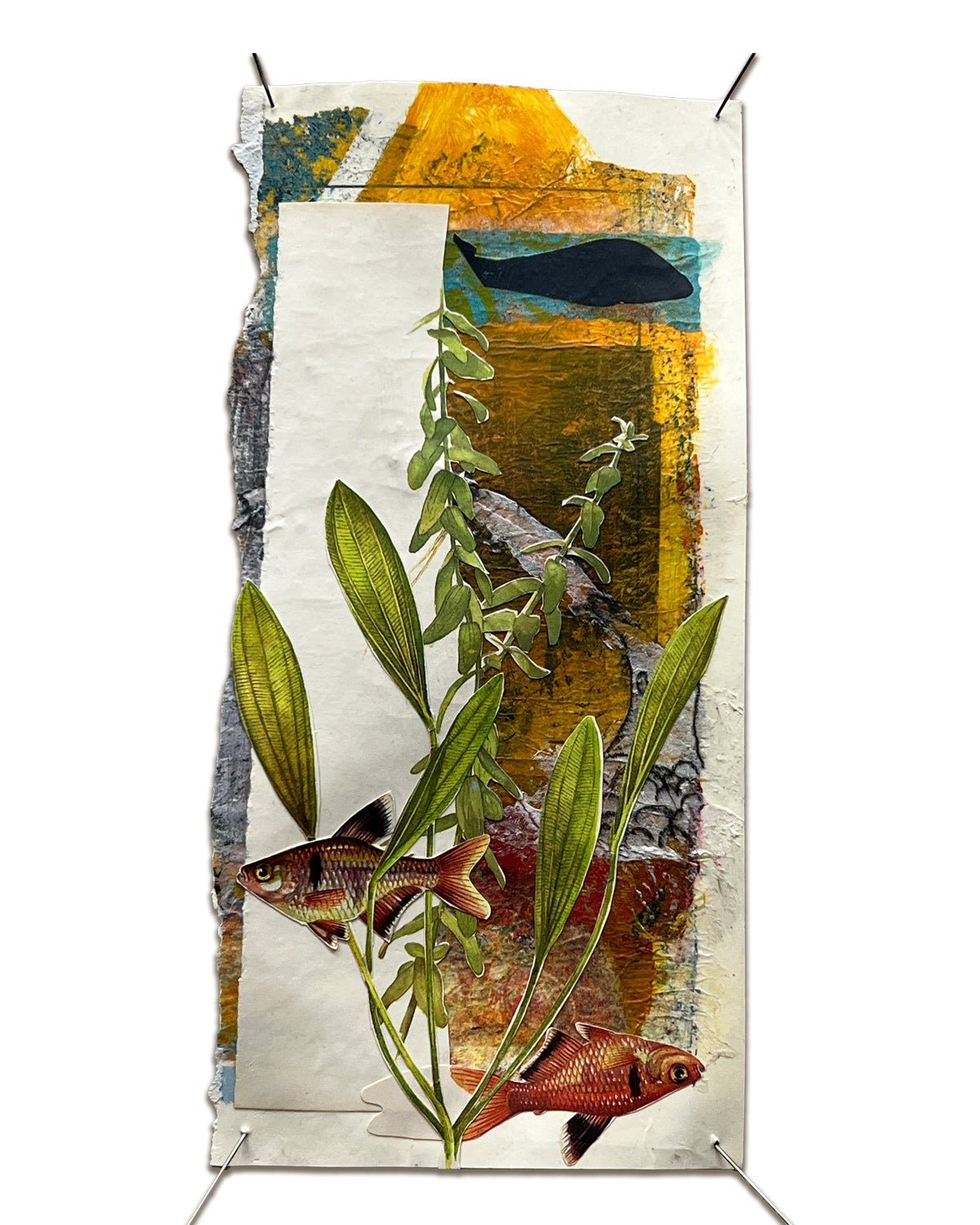 "50/50 Chance" by Teri Bevelacqua