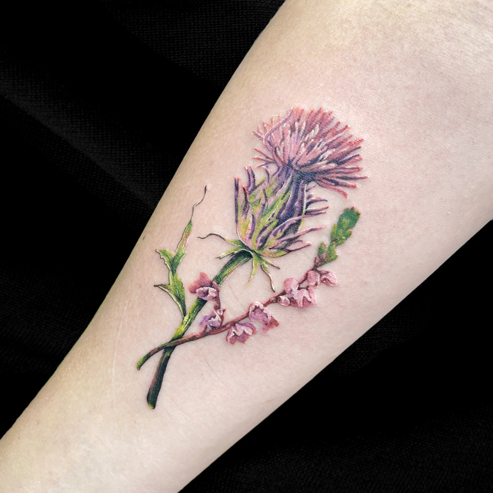 realistic thistle tattoo by Cass Brown