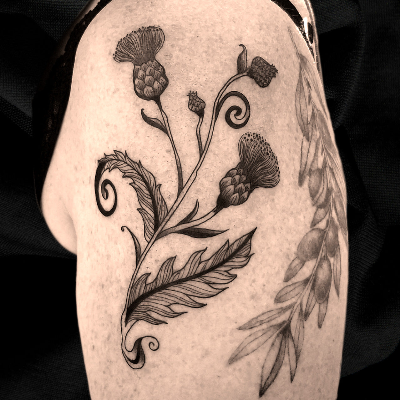 thistle tattoo by Lydia Pitts