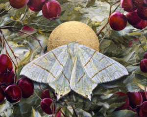 "To Flourish" Swallow-tailed Moth Painting