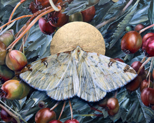 "To Nurture" Brimstone Moth Painting