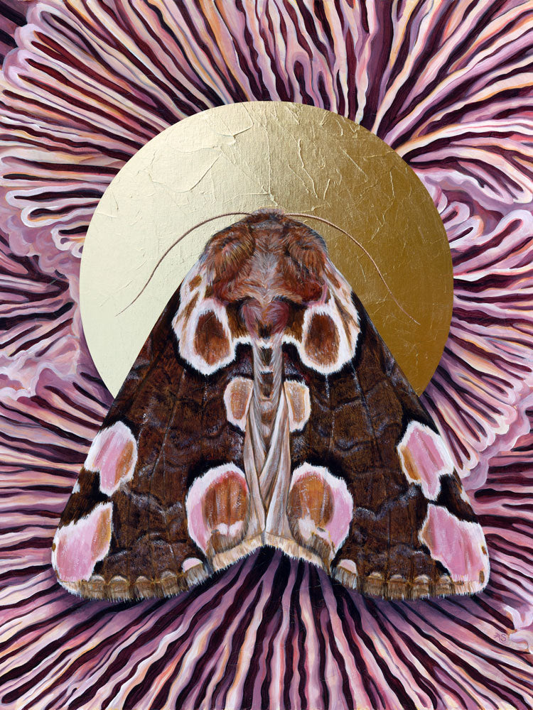 "Together" Peach Blossom Moth Mushroom Art Print