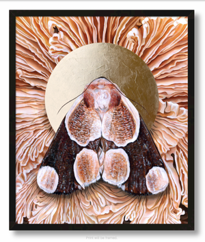 "Totality" Mushroom Moth Art Print