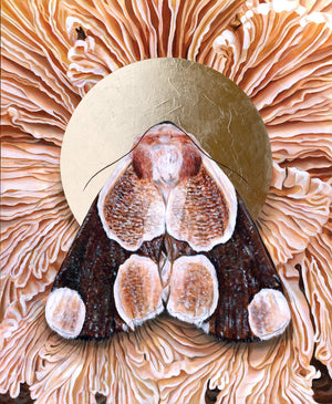'Totality' Mushroom moth art print 20x24 inch