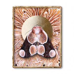 'Totality' Mushroom moth art print