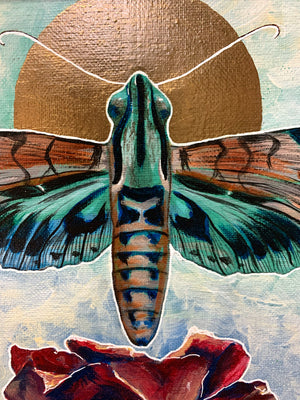 "Transcend" Framed Acrylic Hawk Moth Painting 11x14