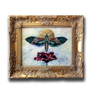 Hawk moth rose painting in ornate gold frame