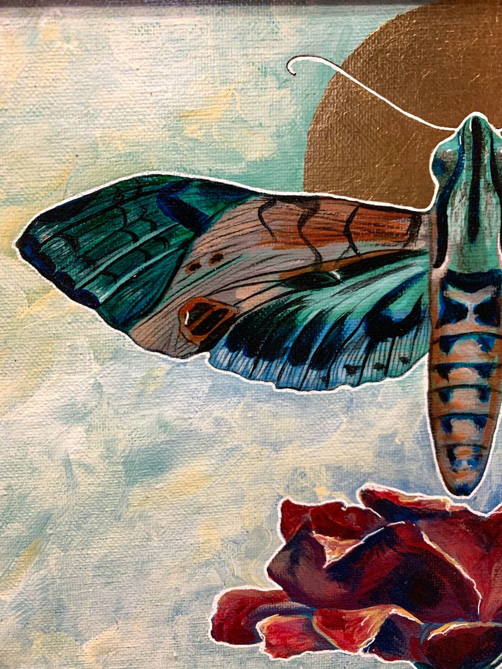 "Transcend" Framed Acrylic Hawk Moth Painting 11x14