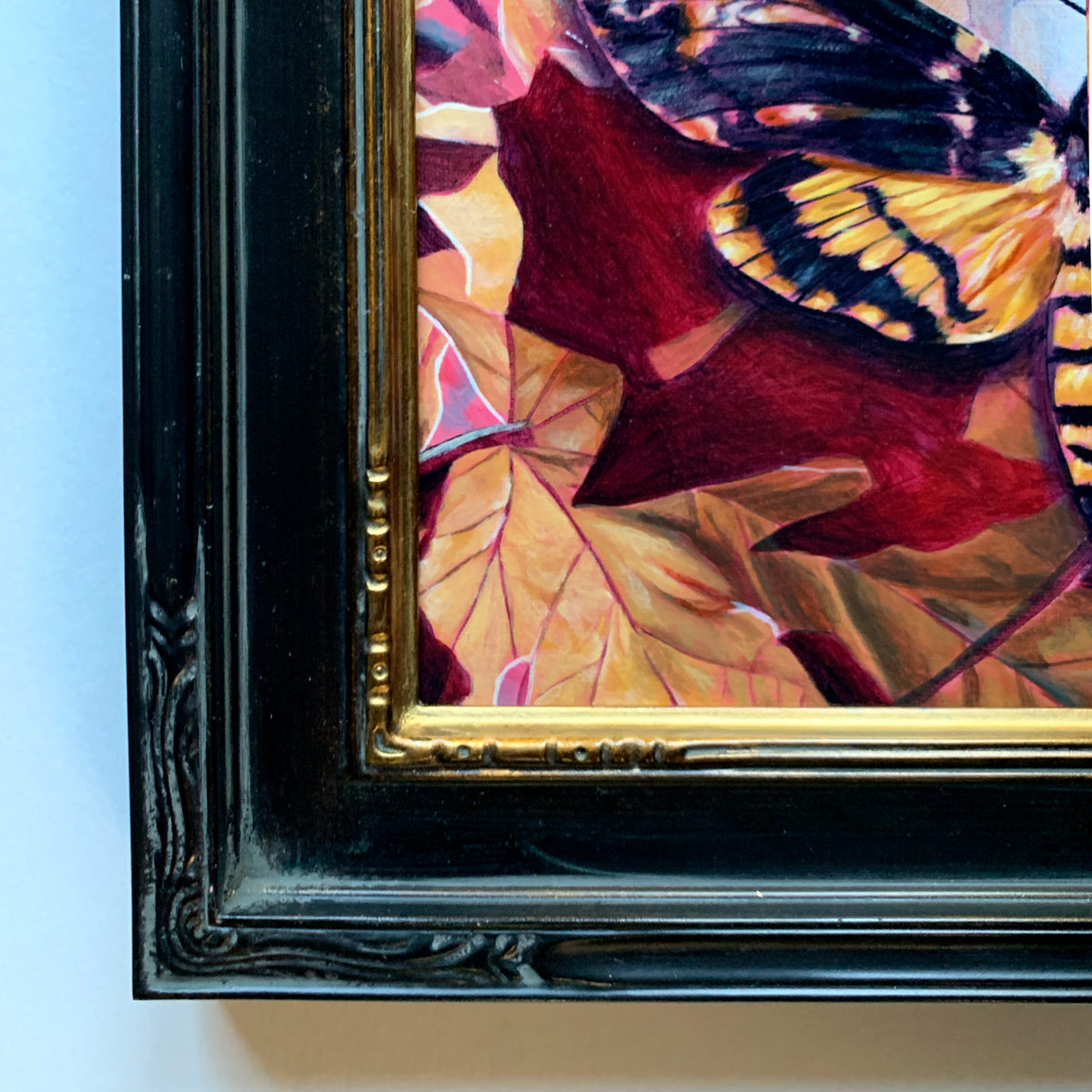 Transmutation death&#39;s head moth painting black carved frame detail