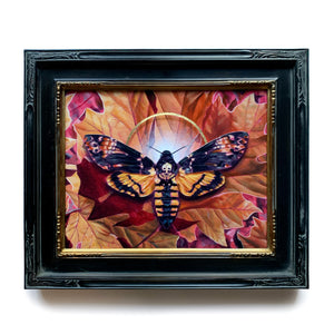 Transmutation death's head moth painting with maple leaves