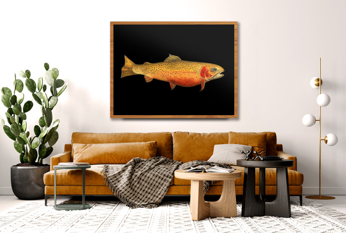 realistic trout art print on wall