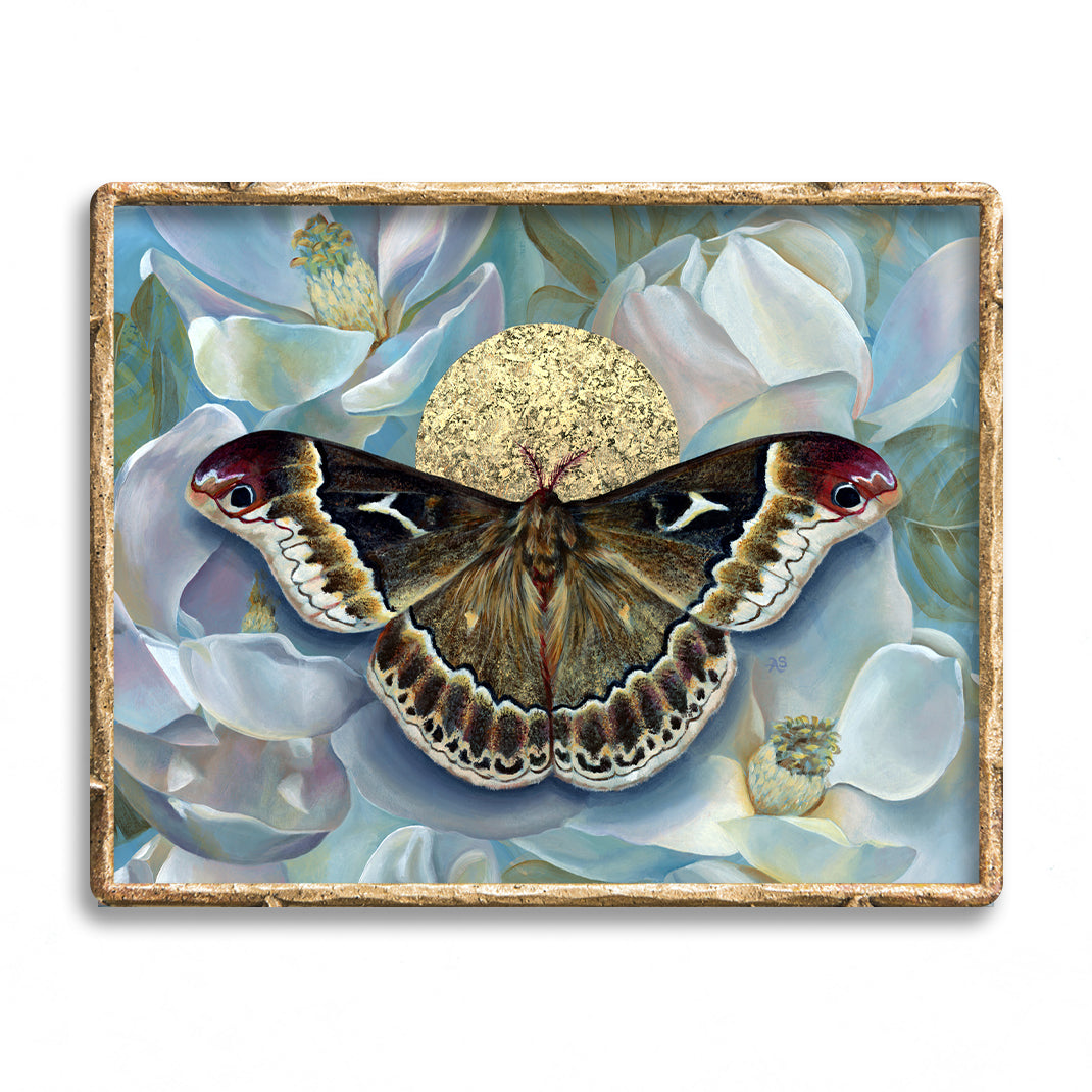 "Truth" Sweetbay Silkmoth Art Print